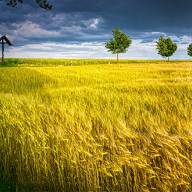 Сивка-Бурка - Sivka-Burka