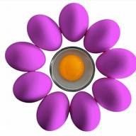 El jardín donde crecen huevos